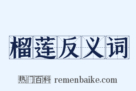 榴莲反义词是什么意思的图片